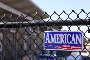 The American Fence Company - Chain Link Fencing, Black Vinyl Chain Link Fence