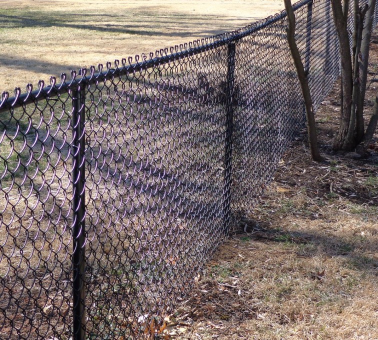 american wire fence