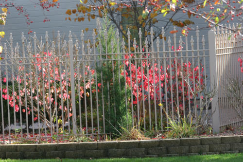 4-6 foot tall off-white custom ornamental iron fence enclosing garden