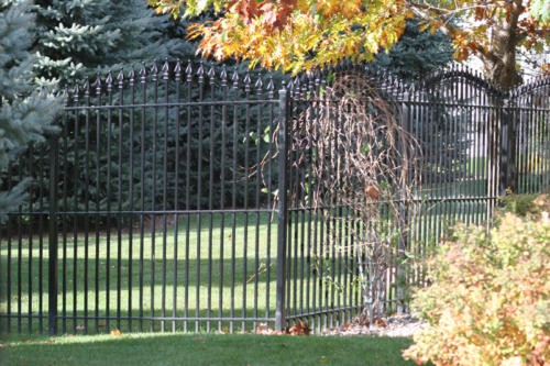 6-8 foot tall ornamental black iron fence with low overscallop arch
