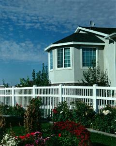 5-7 foot tall white ornamental iron fence with a horizontal white iron bar running above them fencepost to fencepost